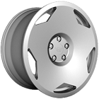 VSPtype2